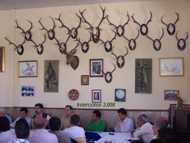 Unicotos 2008