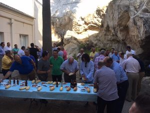 Unicotos Andalucia 2016